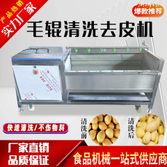 大型毛ローラー洗浄機 手剥き春筍・生筍・生姜洗浄機 ブラシ洗浄機