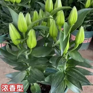 ��ˮ�ٺϻ��r�����Ԏ������ļ��_���̨ͥԺ����ֲ���҃Ȼ�����B