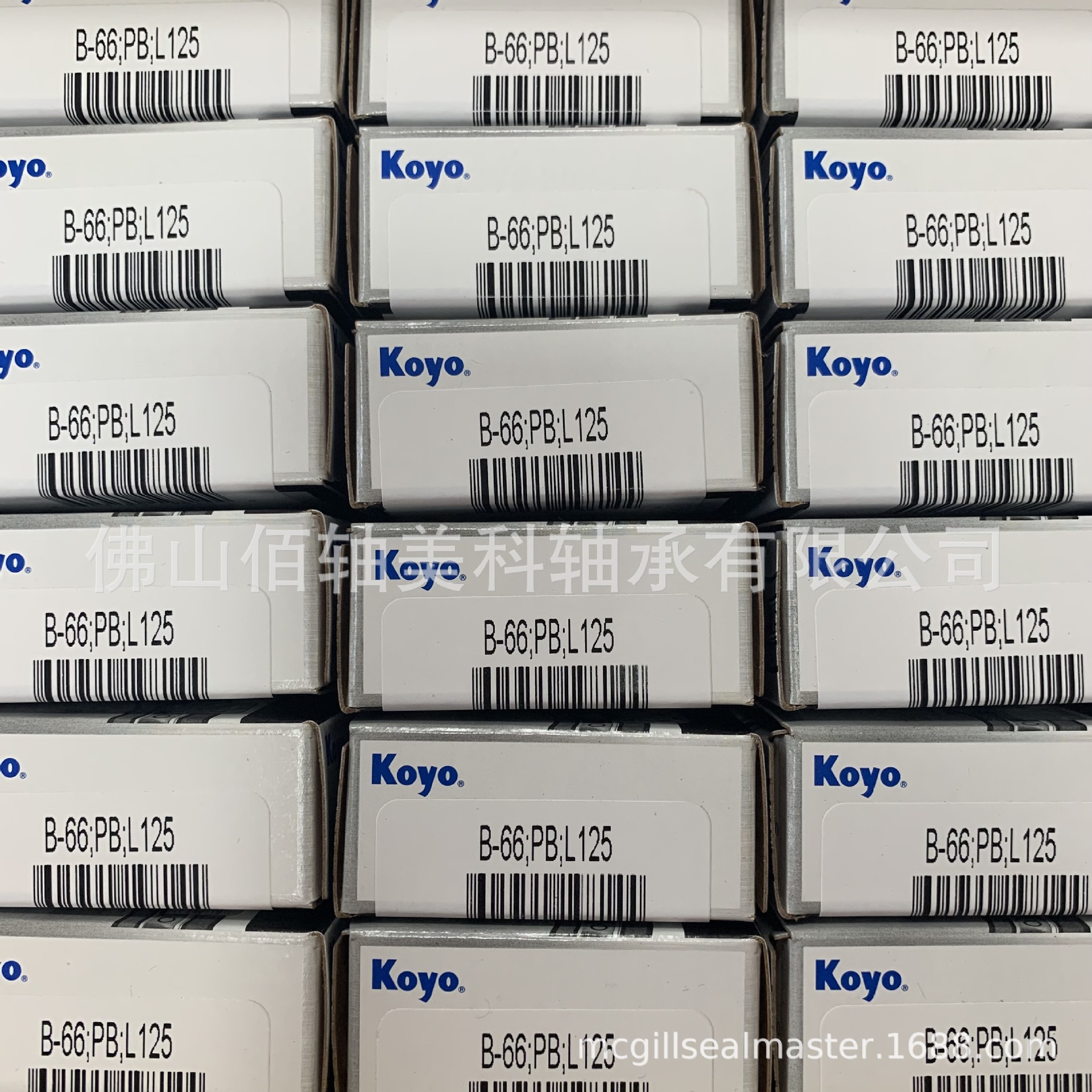 KOYO尖头满滚针轴承 B-66 M-661;PB;L125 原美国TORRINGTON品牌