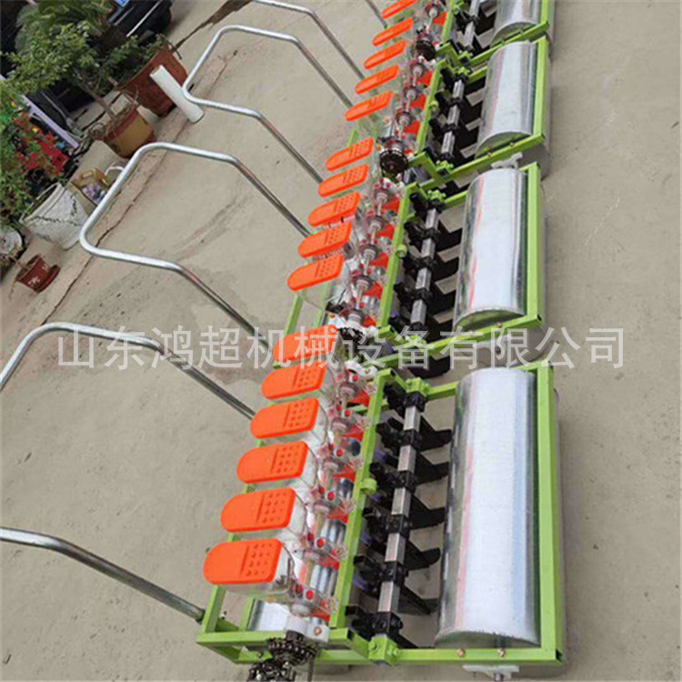 多行蔬菜播种机芥菜萝卜点播机 手推柴胡精播机