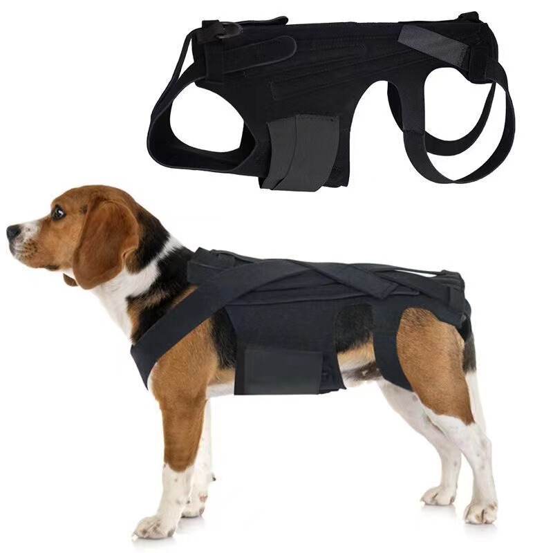 Dog pain relief injury support vest pet IVDD relief back pain dog fracture fixer