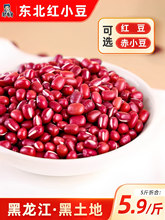 5��|���t���r���Ԯa�tС������s�Z���ɳ��؛��С��޲�ׇL�r