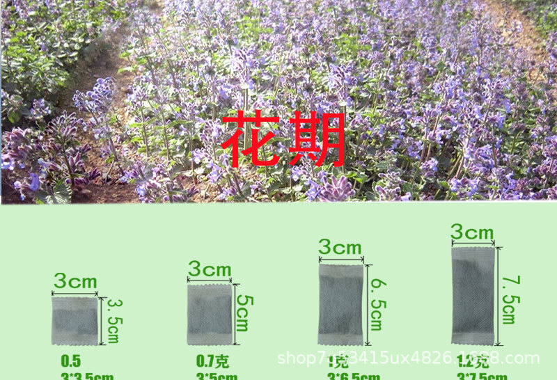 0.5--5ke无纺布袋装猫薄荷