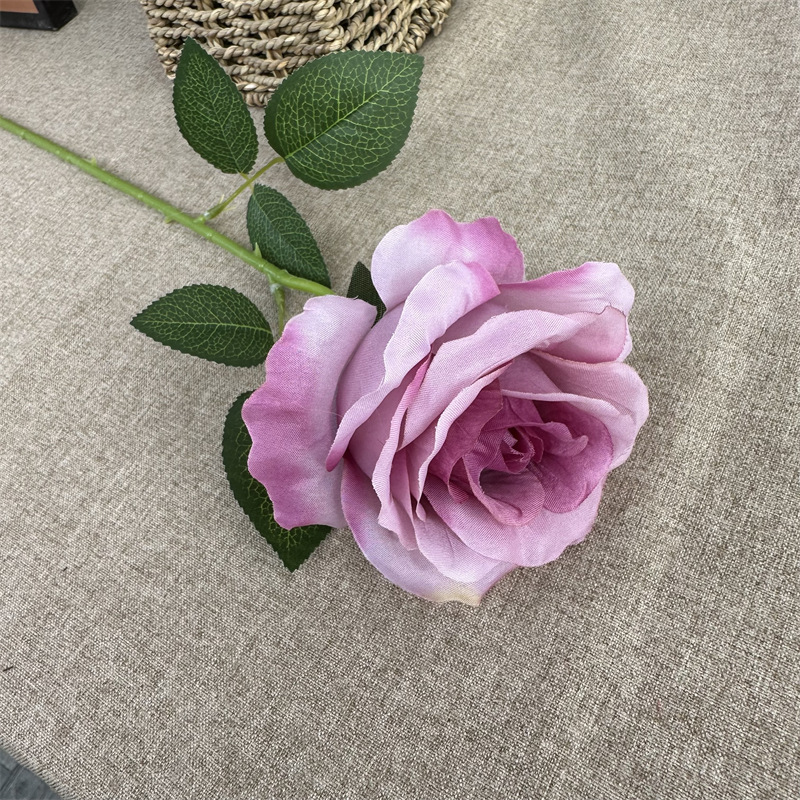 Single Anna Rose Gradient Purple