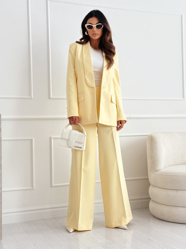 Elegant, Classic Style Style Business Women's Elegant Classic Style Solid Color Wool Blend Polyester Blazer Suits Co-ord Set Pants Sets