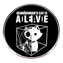 薛定谔的猫胸针生活大爆炸物理经典美剧别针金属合金卡通徽章配饰