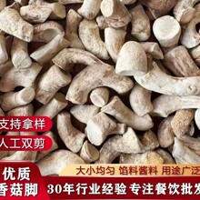 �㹽�_��؛���������㹽���p�����㹽�ȴ��㹽�_�������㹽���_