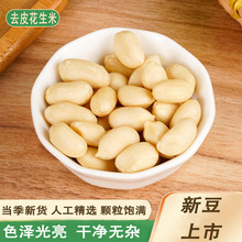 2025����؛ȥƤ�������״��w�����lÓƤ�����ʺ決ţ܈�����rԭ��