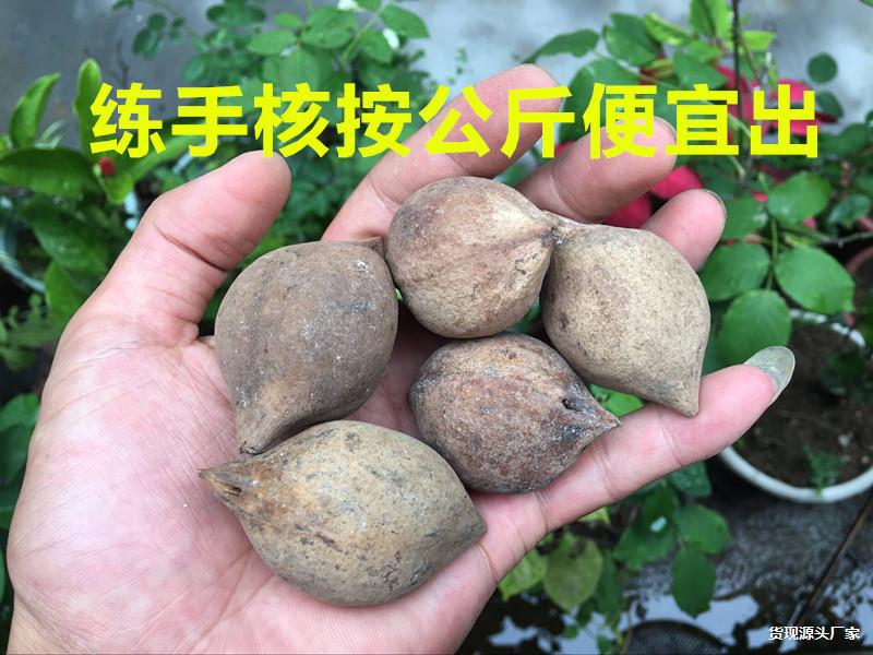 练手核橄榄核原料圆核单籽手串巴西核雕红油核料核尖料