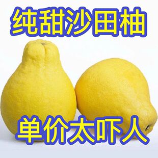 ���ڟo��ɳ�������r�������l�r�o��ɳ���ִ�����ݿh