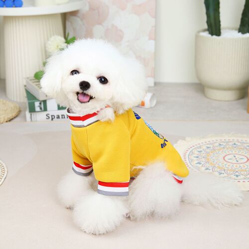 Baseball Boy Sweatshirt Autumn and Winter Dog Clothing French Teddy Pet Warming Supplies Wholesale