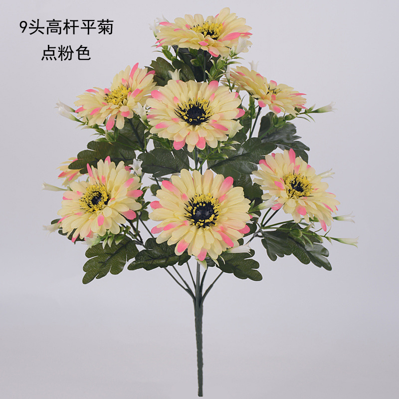 9头高杆平菊15 副本.jpg