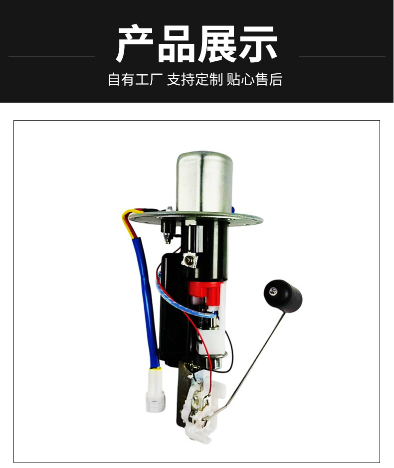 Cross-Border Fuel Pump Assembly 15100-41g00 Suitable for Suzuki Gsxr1000200, Available from the Source Factory