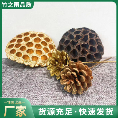 金莲蓬干花莲藕干花小松果圣诞装饰摆件摄影道具 手工diy材料