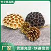 金莲蓬干花莲藕干花小松果圣诞装饰摆件摄影道具 手工diy材料|ms