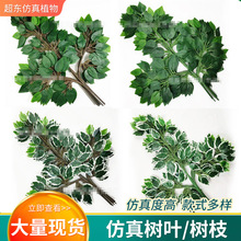 ���^�@�־Gֲ�Gɫ�����Ř�֦�����^�z�ż٘��zƬ�Ř��~��߅���̳�