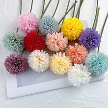 ����С����R��������ٻ����lƹ�����ѹ�Ӣ��Y�[���Ĕz�쾰����