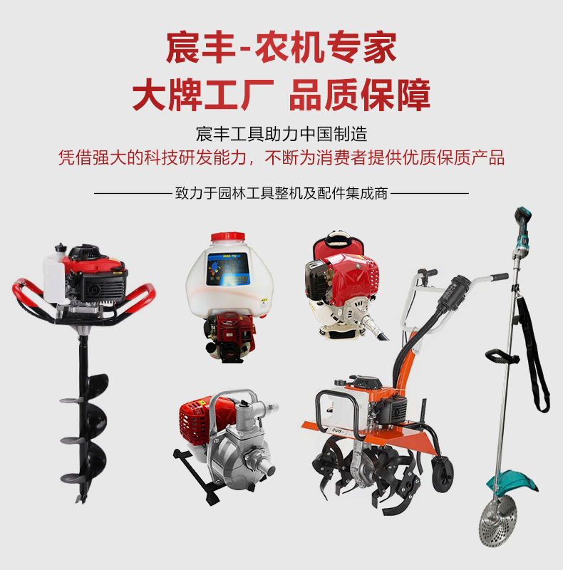 宸丰头标