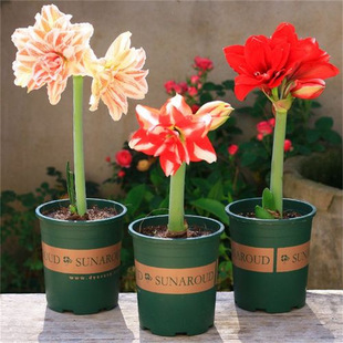 �F؛�M����피t�N���ذꎧ�������󻨻�ֲ���҃Ȼ��̨ͥԺ����