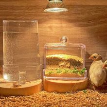 �J���u�g�������Bιʳ��С�r�uʳ��ˮ��ˮ���Ԅ��ˮ��ʳ���ˮ��