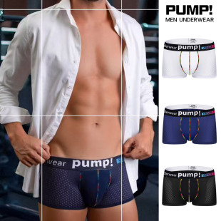 ���羳������PUMP��ʿ�Ľ�ѝ�U�վW�ײ�͸�����m�\������ƽ�ǃ�ѝ