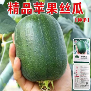 ̨���O���z�ϷN�Ӳ˹ϷN�������ѷN��ͥ�N�˲��N�߲˲����ļ��N��