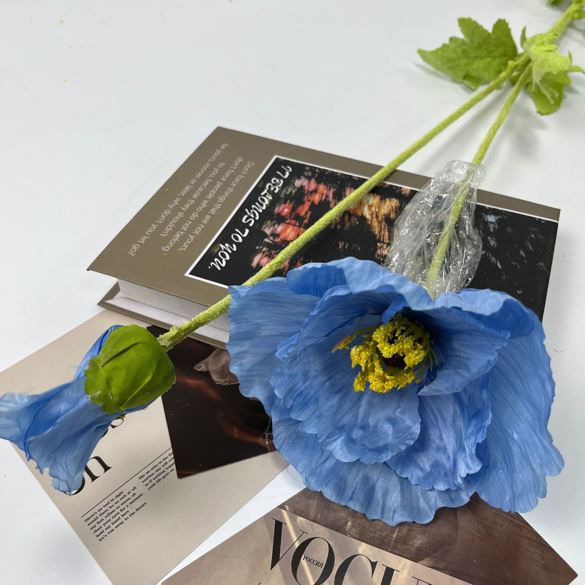 큰 양귀비 진한 파란색