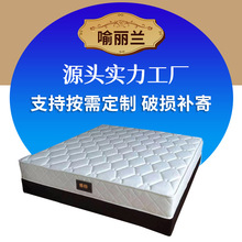 卧室乳膠彈簧柔軟床墊 定制透氣海綿床墊 軟硬家庭舒適酒店床墊