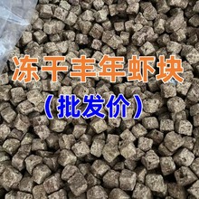 丰年虾块冻干鱼食高蛋白天然饲料红虫冻干水族饲料龟粮批发