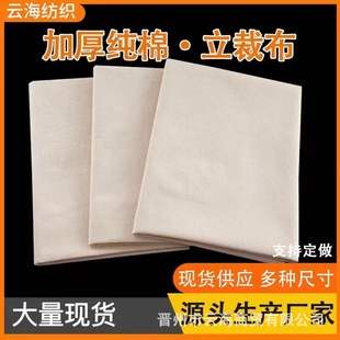 �S�����l���������ްײ��Ӻ��������b���ò��OӋ�ư���������C��