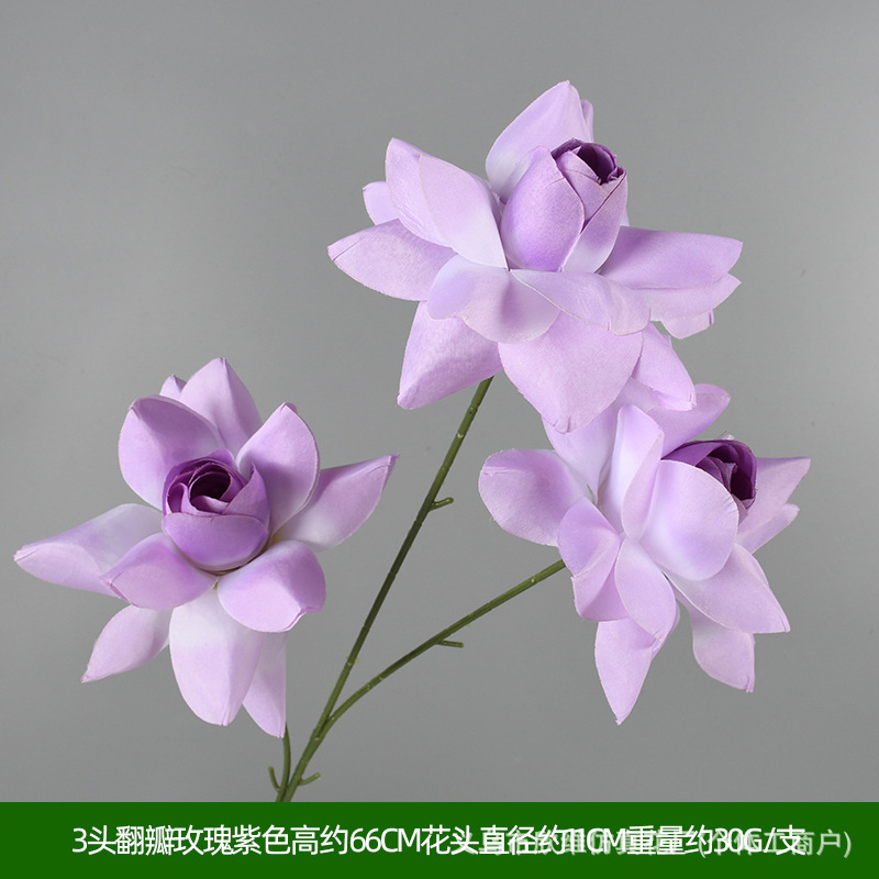 情人玫紫色