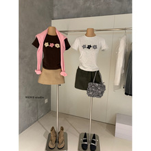 �����WGWE8517�߼���Χ��Բ�����T��ŮС����Ƹ�����ײɫ����
