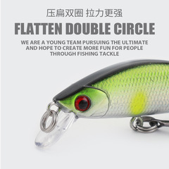 Lure Shark | Micro Submerged Shimmering Minnow 55mm 5.5g Hard Baits Fishing Artificial Lures Plastic Simulation Baits