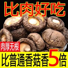 ���㹽��؛500gɢ�b�����r��С������Ȼ����Ģ��������������