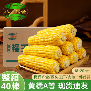 �����l���|���ك��fŴ2018 �SŴA��40֧��Ŵ����ճŴ������r���