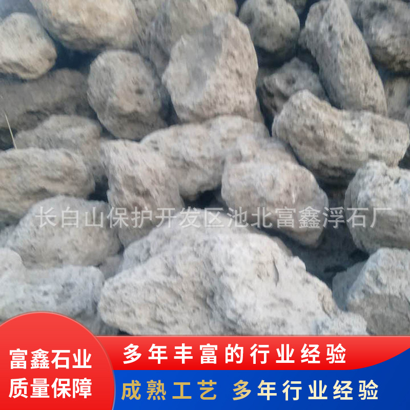 浮石 重型建筑用高强度浮石 多种规格园艺铺面园艺多肉用浮石