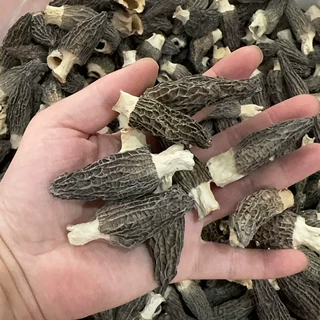 头茬羊肚菌 酒店食材剪脚散装炖汤煲汤5-7羊肚菌250g厂家批发代发