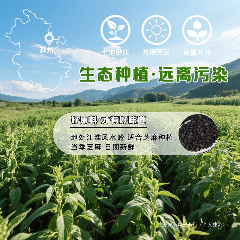 正宗一级纯黑芝麻油香油纯正0添加正品食用油凉拌火锅油碟调味油|undefined