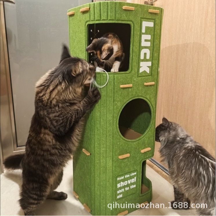 0884ca2c499125c6a1a546a8ff81d5