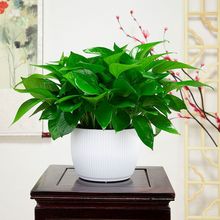 G}҃ȿ͏dȩ՚ˮֲGֲkҾGjl