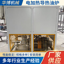 電加熱導熱油爐熱裝置高溫循環液體防爆導熱油電鍋爐反應釜