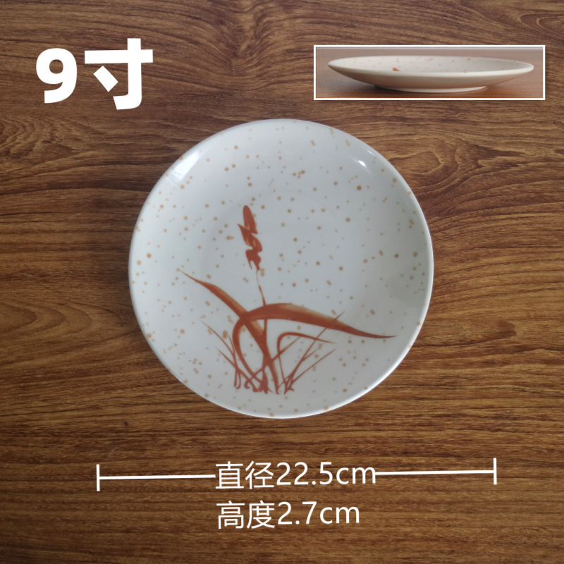 9inch 얕은 디스크-120개/상자
