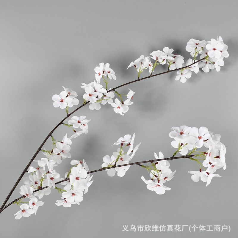 梨花白色