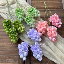 3�^���ѹ��L�������Q����c��Y�û���·���廨��ˇܛ�b�ٻ��[��