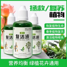 ֲ�ﻨ�܏ͻ�Һᘌ�ֲ���U�l�S���~�������L���ٻ�������Һ����