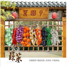 �����߲˴�ˮ����ģ���r�Ҙ����ߴ�������ͥԺ�b��������