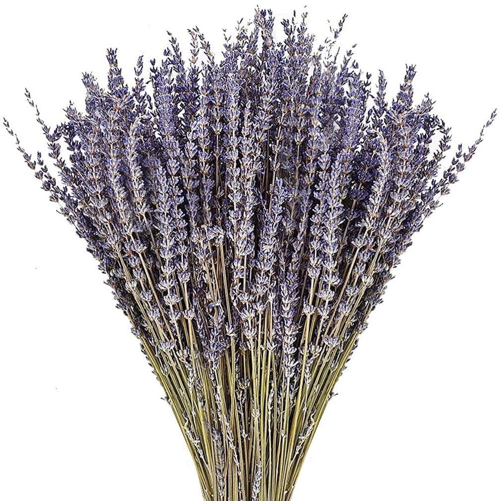 말린 라벤더 50g