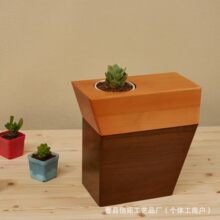 ��ľ�ǻҺ�؈���𻯹ǻҸ��̿�����ֲ��С����׺�ƴɫ����ǻҺ�