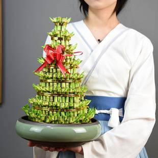 �_�I�ͶY���F��ˮ�Bֲ�����Թ�����ˮ��Gֲ���������҃��k���辰