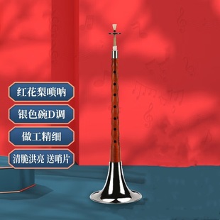 Suona D Safflower Pear Suona Beginner Practice Playing with Reed Sentinel XM7001